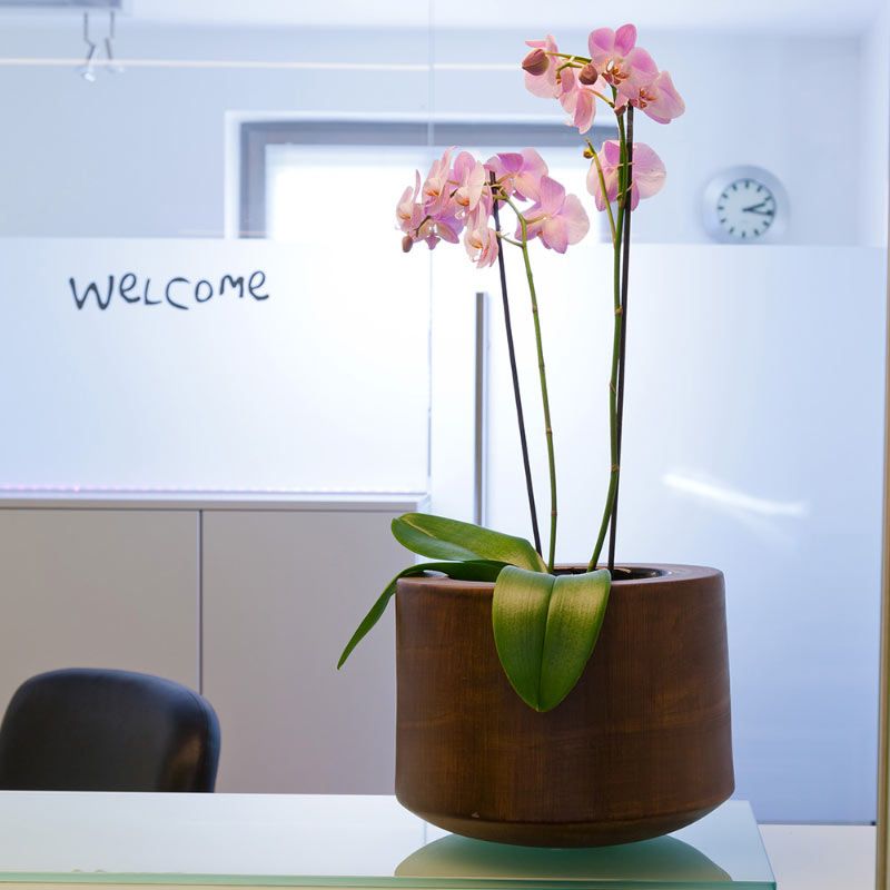 Flower Pot on Counter Flower Pot on Counter